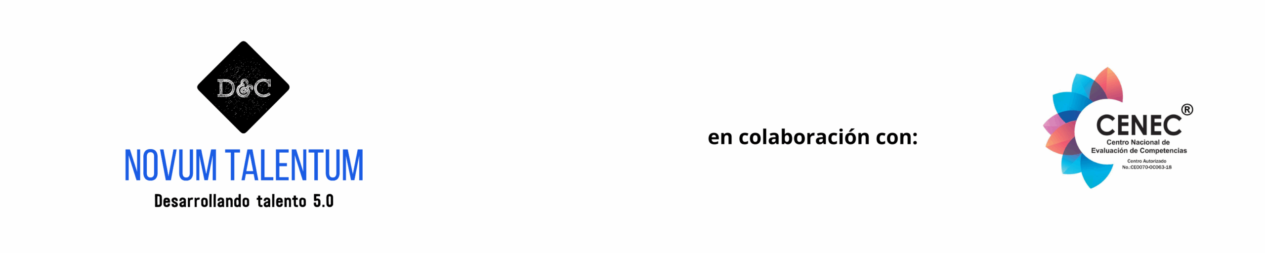 Cintillo DC Novum Talentum CENEC 1 Scaled
